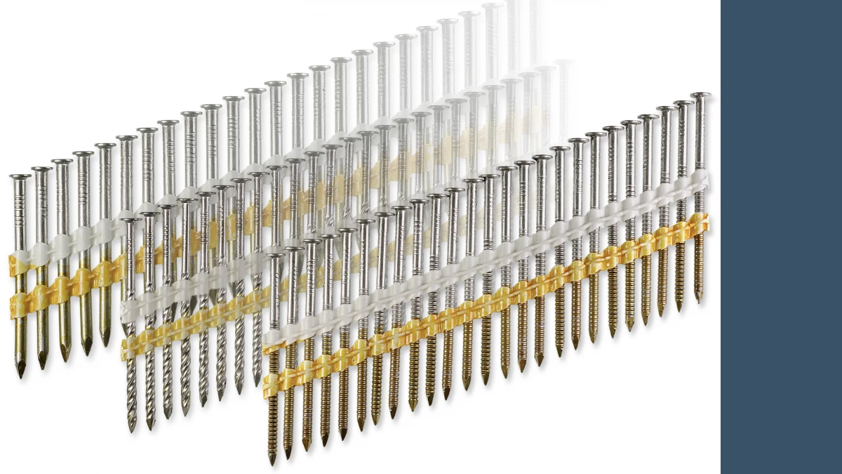 Collated Nails Shop 1 Collated Nails Shop -Collated Nails Shop 1